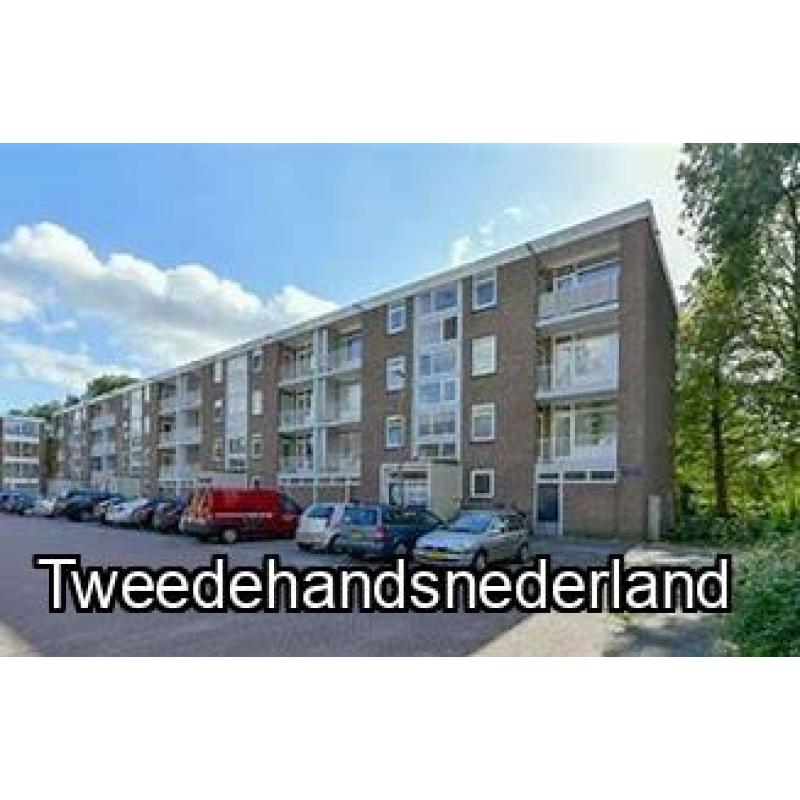 Apartment in Amsterdam available for rent sinds 1 July 2025