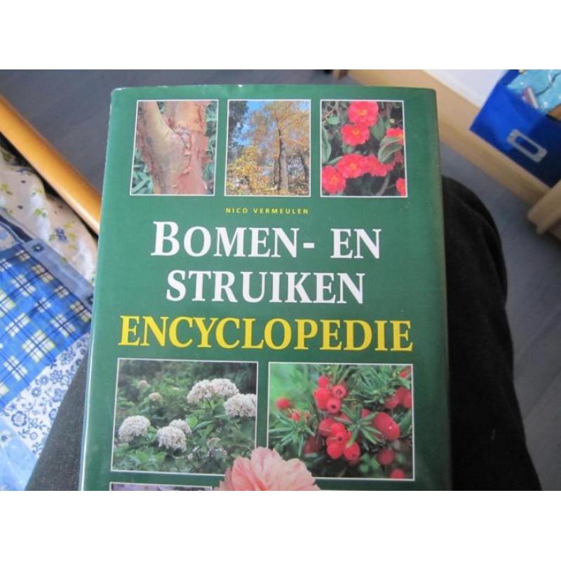 Bomen- en Struikenencyclopedie door Nico Vermeulen