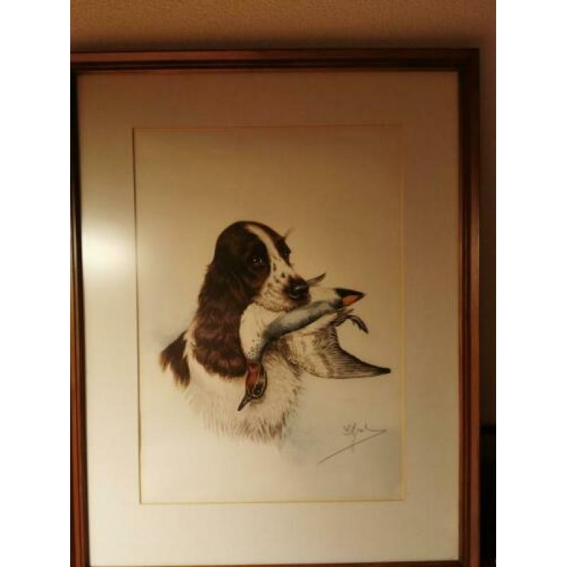 litho jachttafereel Springer Spaniels