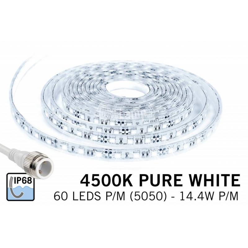 â‚¬10040000 Geldwijzer Waterdichte LED strip Puur wit (IP68) met 300 leds 12V, 5 meter